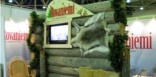 Rovaniemi представит свои деревянные дома на выставке в Екатеринбурге!